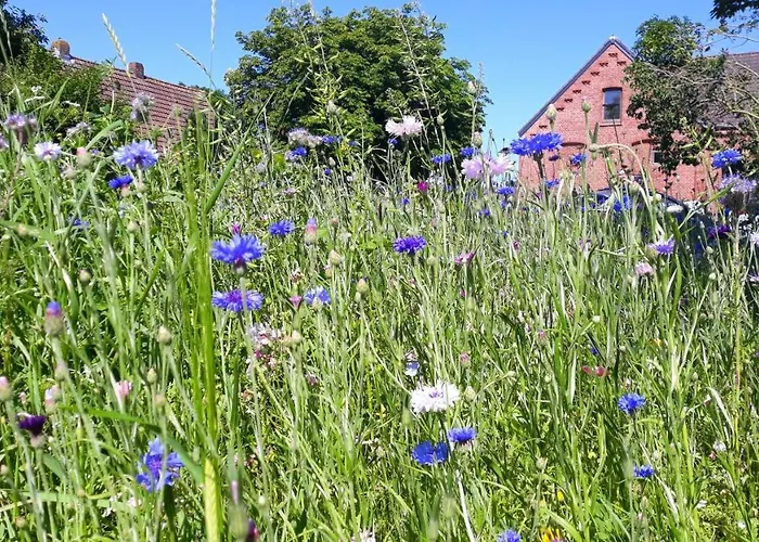 Διαμέρισμα Nordic Dornum