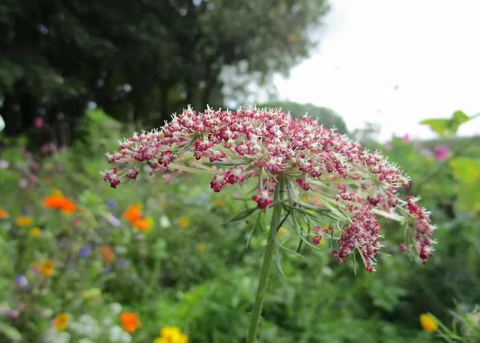 Apartamento Nordic *